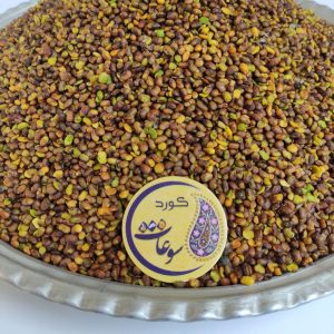 maqz-peste-koohi